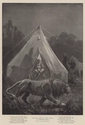 Kerstnacht in West-Afrika, een ongenode gast